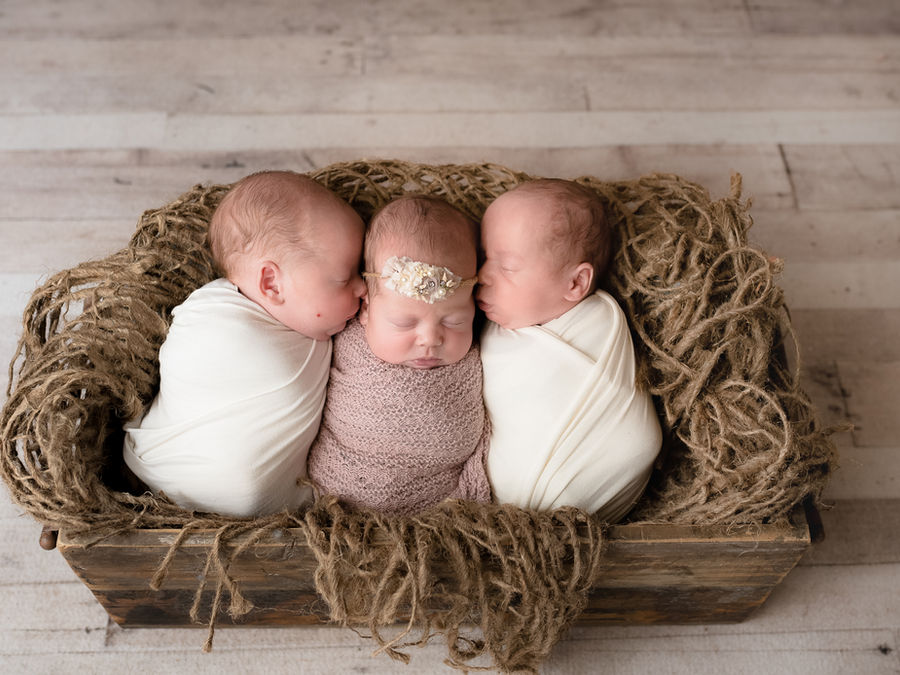 Three sleeping newborn babies nestled together